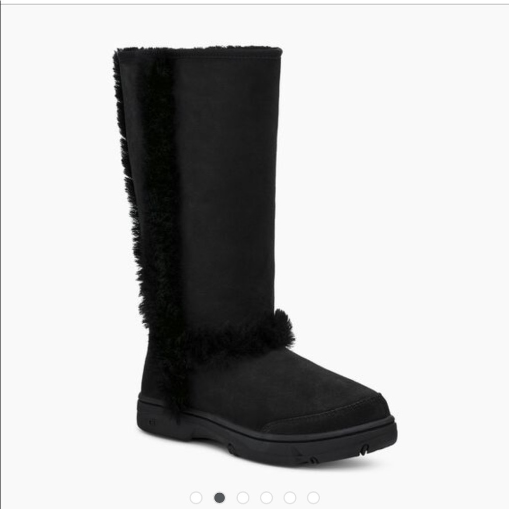 Sunburst tall Uggs